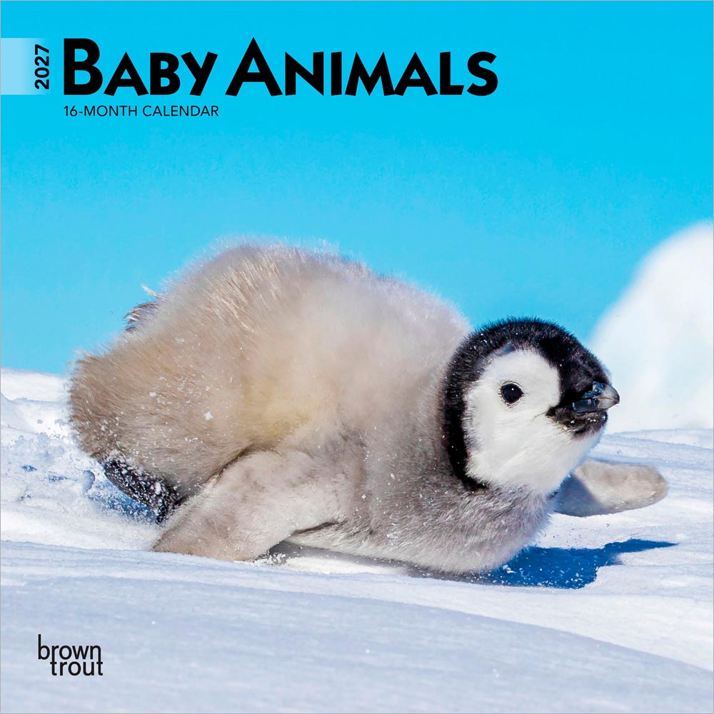 Baby Animals | 2027 7 x 14 Inch (Hanging) Monthly Mini Wall Calendar