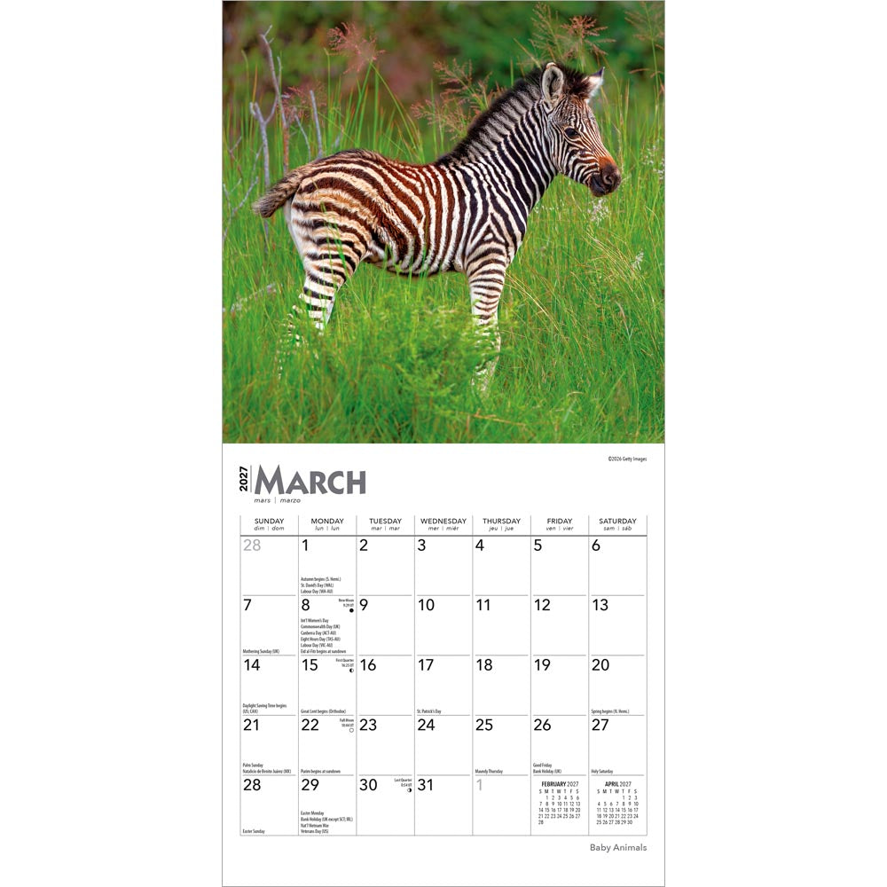 Baby Animals | 2027 7 x 14 Inch (Hanging) Monthly Mini Wall Calendar