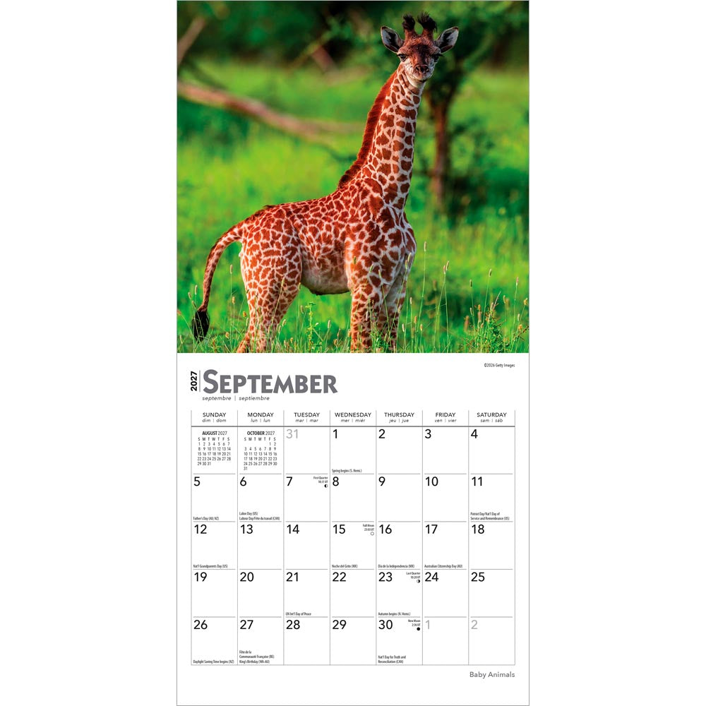 Baby Animals | 2027 7 x 14 Inch (Hanging) Monthly Mini Wall Calendar