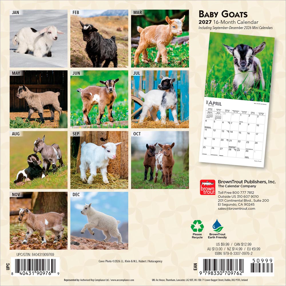 Baby Goats | 2027 7 x 14 Inch (Hanging) Monthly Mini Wall Calendar
