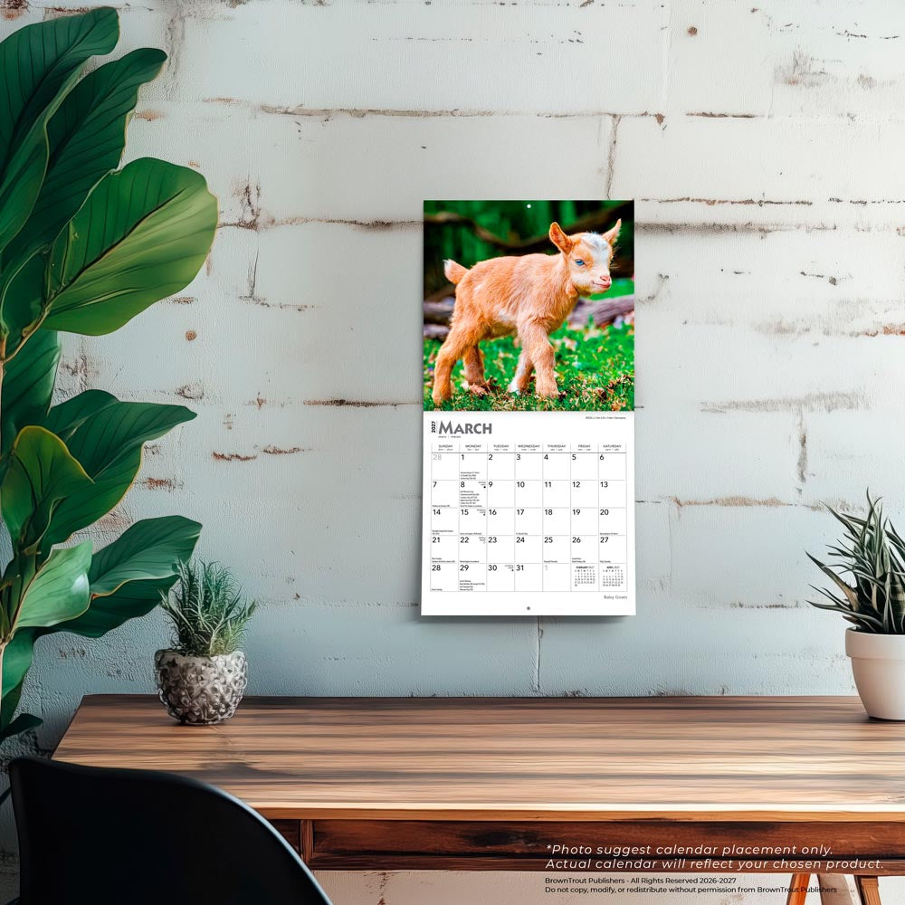 Baby Goats | 2027 7 x 14 Inch (Hanging) Monthly Mini Wall Calendar