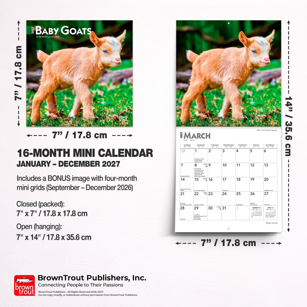 Baby Goats | 2027 7 x 14 Inch (Hanging) Monthly Mini Wall Calendar