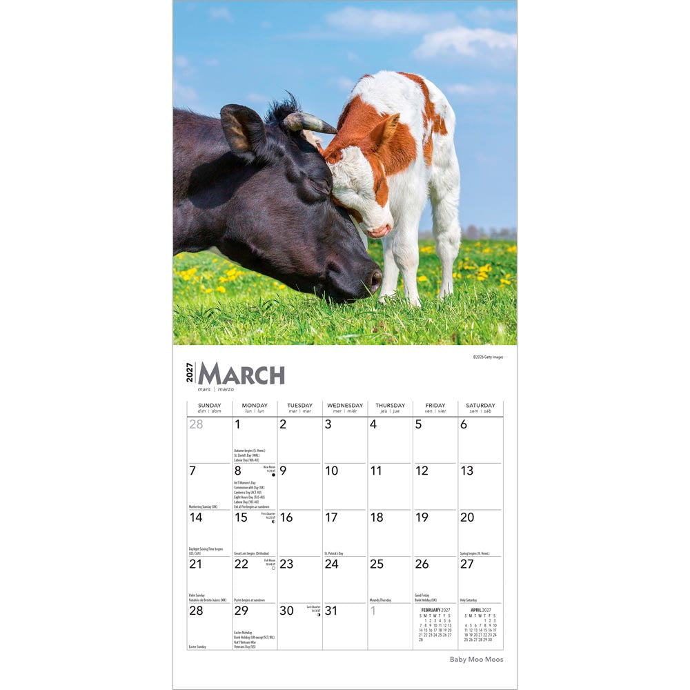 Baby Moo Moos | 2027 7 x 14 Inch (Hanging) Monthly Mini Wall Calendar