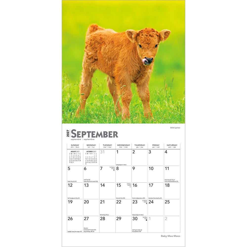Baby Moo Moos | 2027 7 x 14 Inch (Hanging) Monthly Mini Wall Calendar
