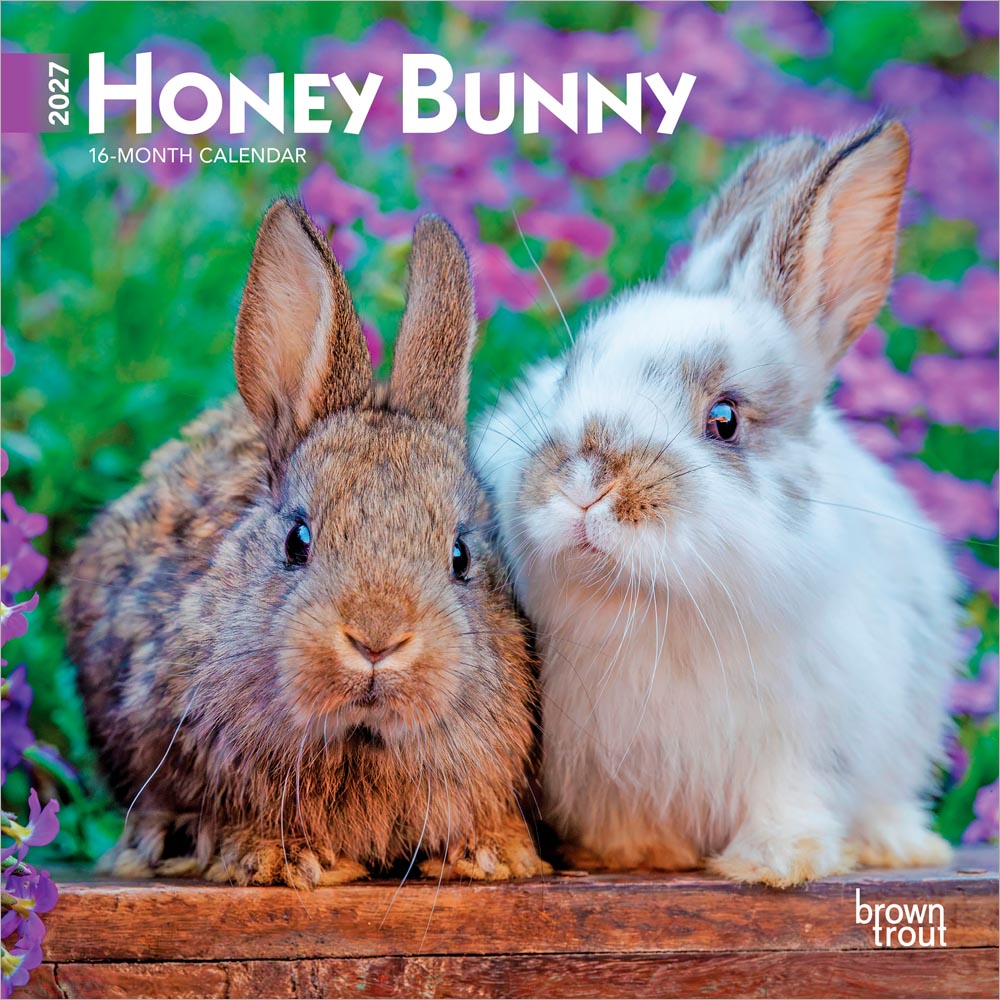 Honey Bunny | 2027 7 x 14 Inch (Hanging) Monthly Mini Wall Calendar