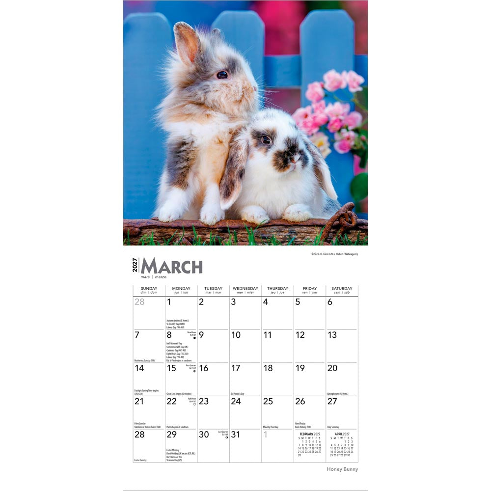 Honey Bunny | 2027 7 x 14 Inch (Hanging) Monthly Mini Wall Calendar