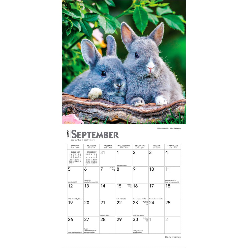 Honey Bunny | 2027 7 x 14 Inch (Hanging) Monthly Mini Wall Calendar
