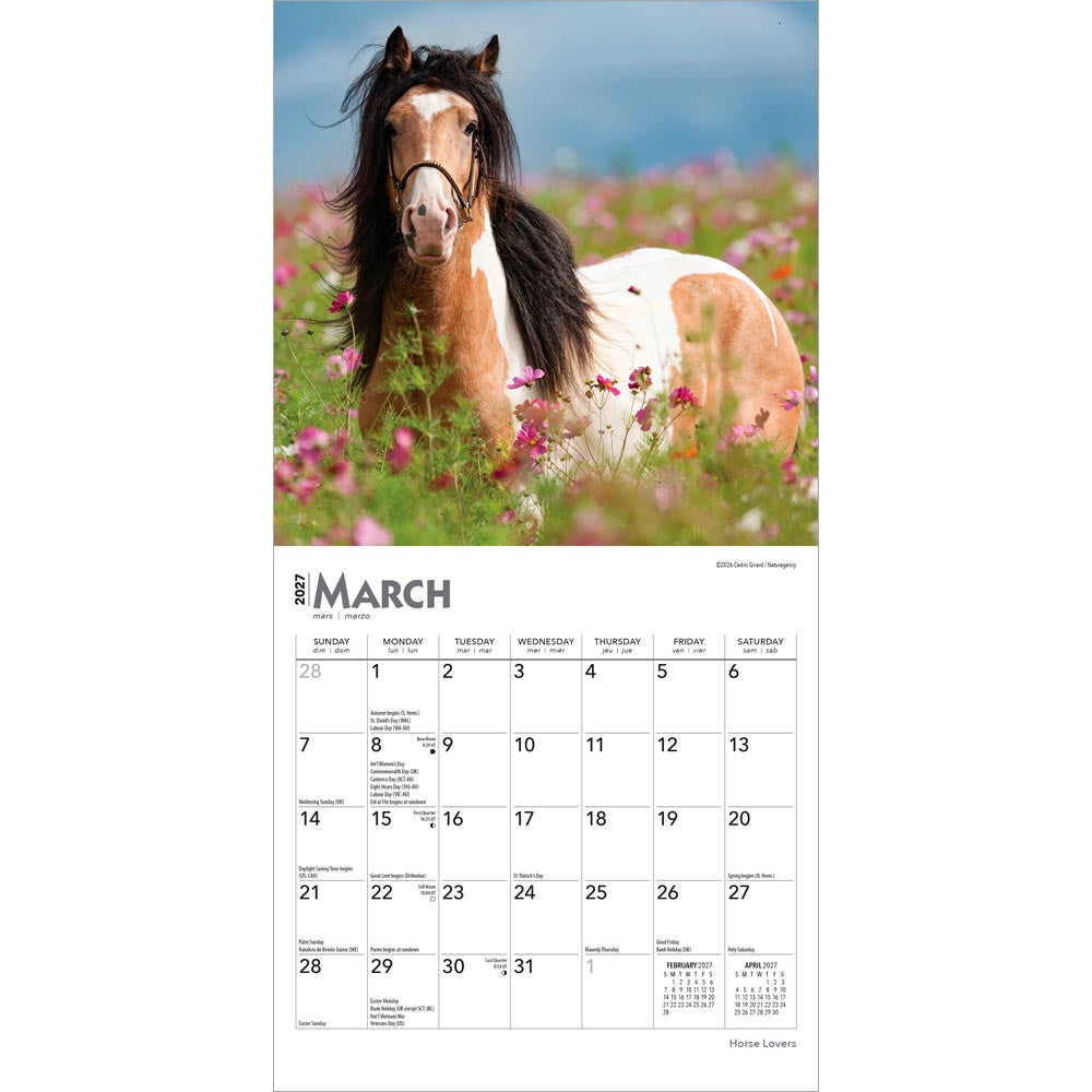 Horse Lovers | 2027 7 x 14 Inch (Hanging) Monthly Mini Wall Calendar