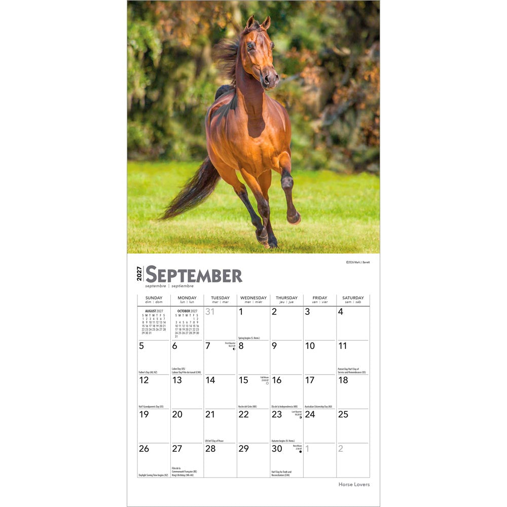 Horse Lovers | 2027 7 x 14 Inch (Hanging) Monthly Mini Wall Calendar