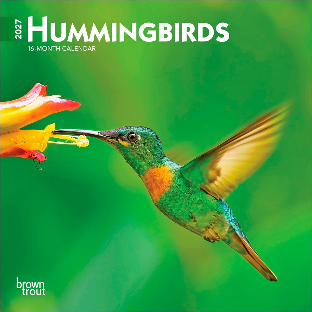 Hummingbirds | 2027 7 x 14 Inch (Hanging) Monthly Mini Wall Calendar