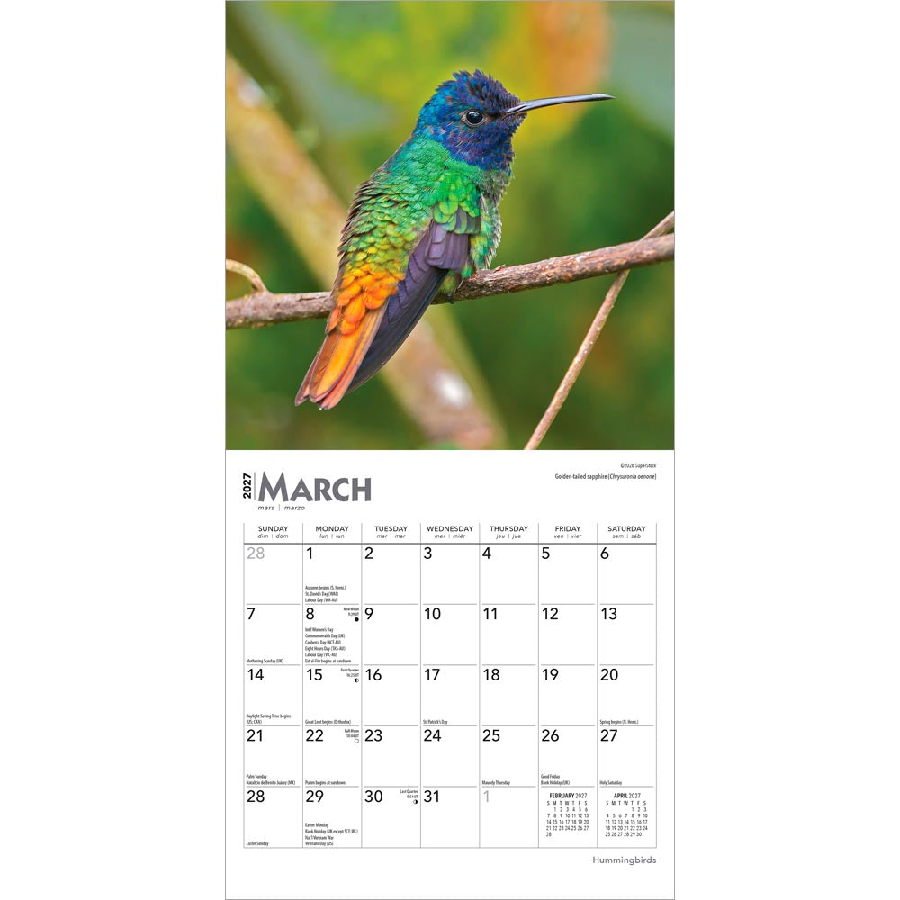 Hummingbirds | 2027 7 x 14 Inch (Hanging) Monthly Mini Wall Calendar
