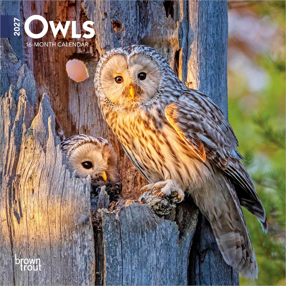 Owls | 2027 7 x 14 Inch (Hanging) Monthly Mini Wall Calendar