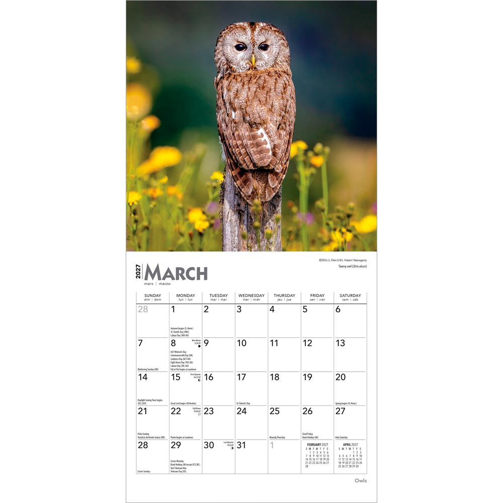 Owls | 2027 7 x 14 Inch (Hanging) Monthly Mini Wall Calendar