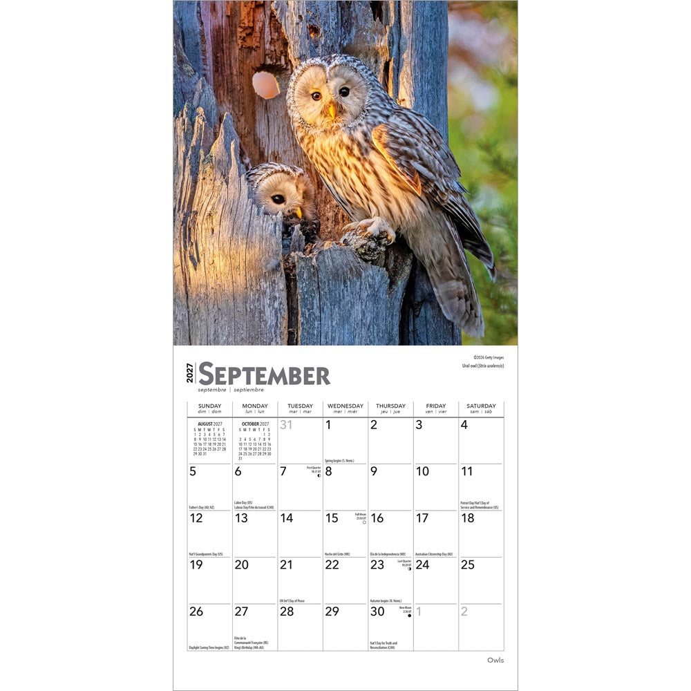 Owls | 2027 7 x 14 Inch (Hanging) Monthly Mini Wall Calendar