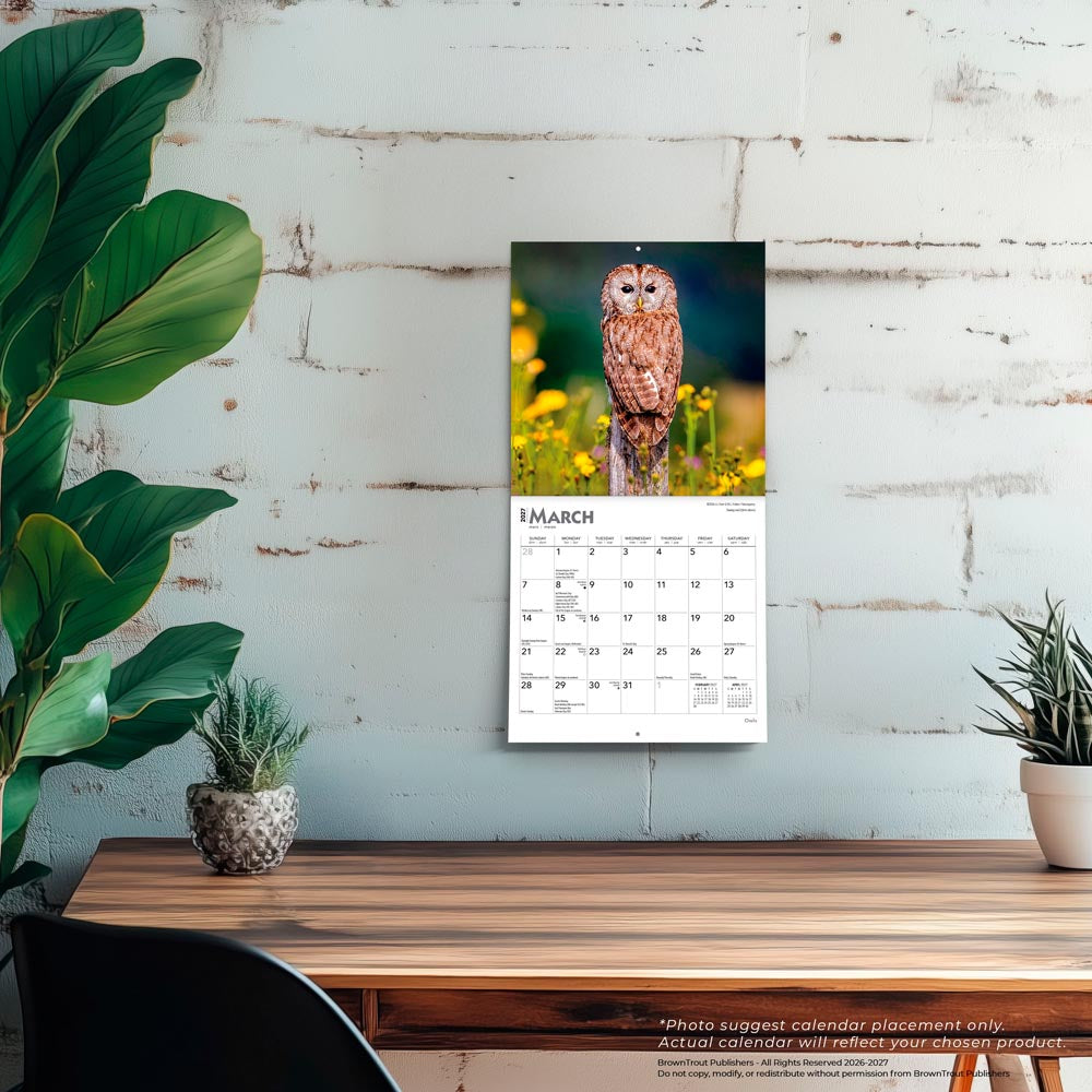 Owls | 2027 7 x 14 Inch (Hanging) Monthly Mini Wall Calendar