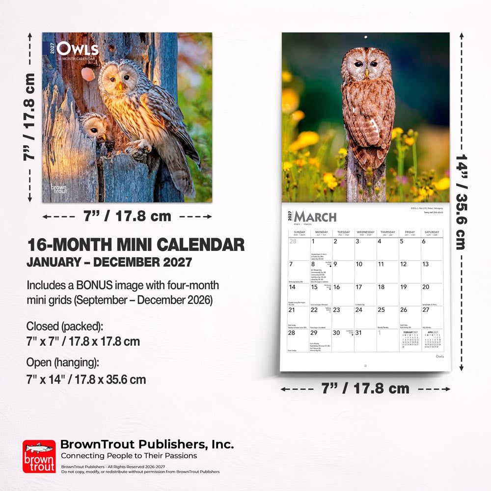 Owls | 2027 7 x 14 Inch (Hanging) Monthly Mini Wall Calendar
