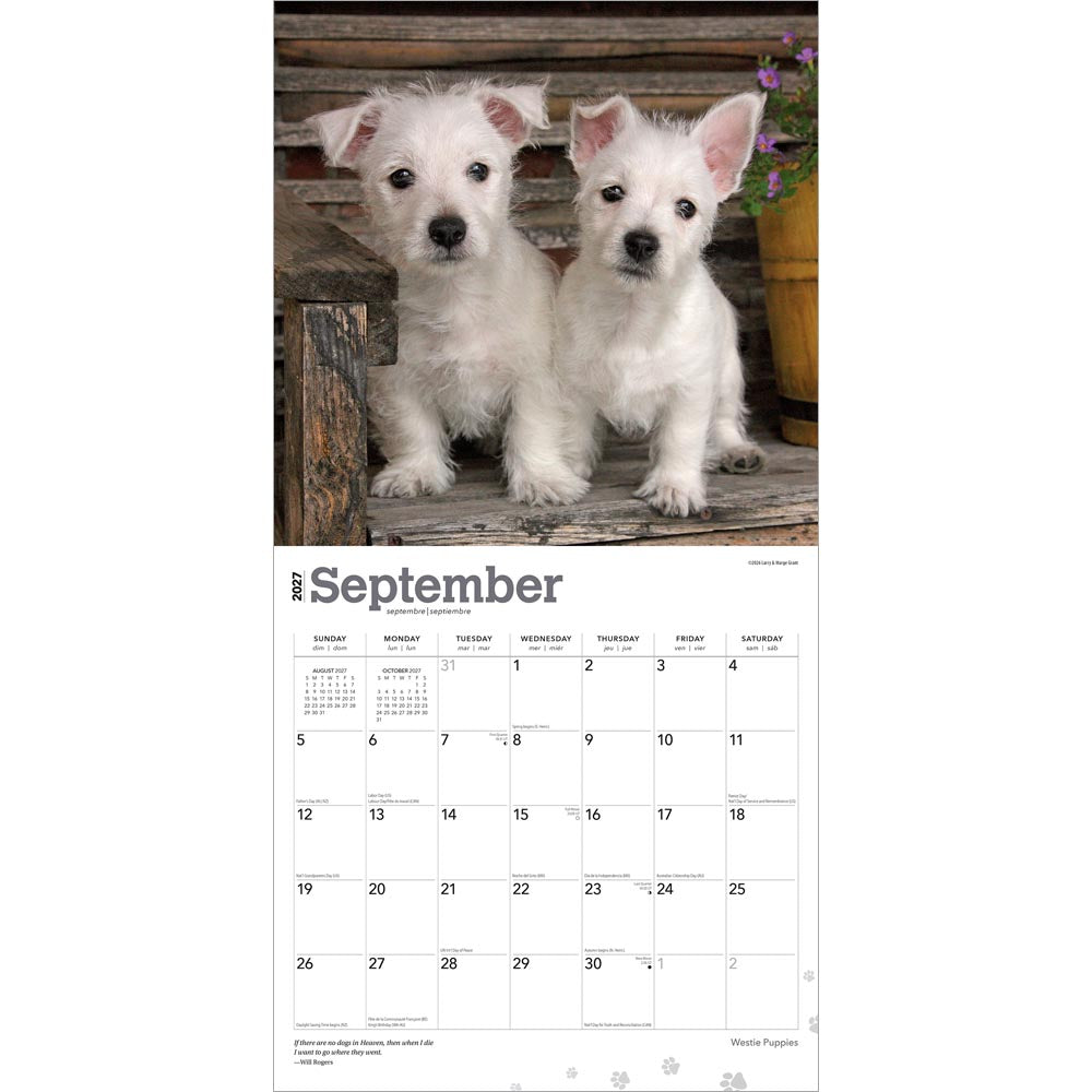 West Highland White Terrier Puppies | 2027 12 x 24 Inch (Hanging) Monthly Square Wall Calendar