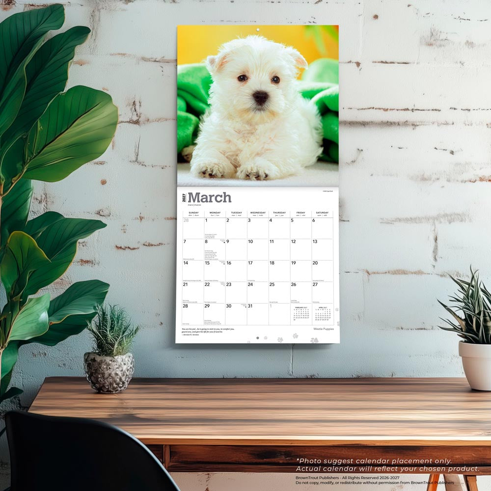 West Highland White Terrier Puppies | 2027 12 x 24 Inch (Hanging) Monthly Square Wall Calendar