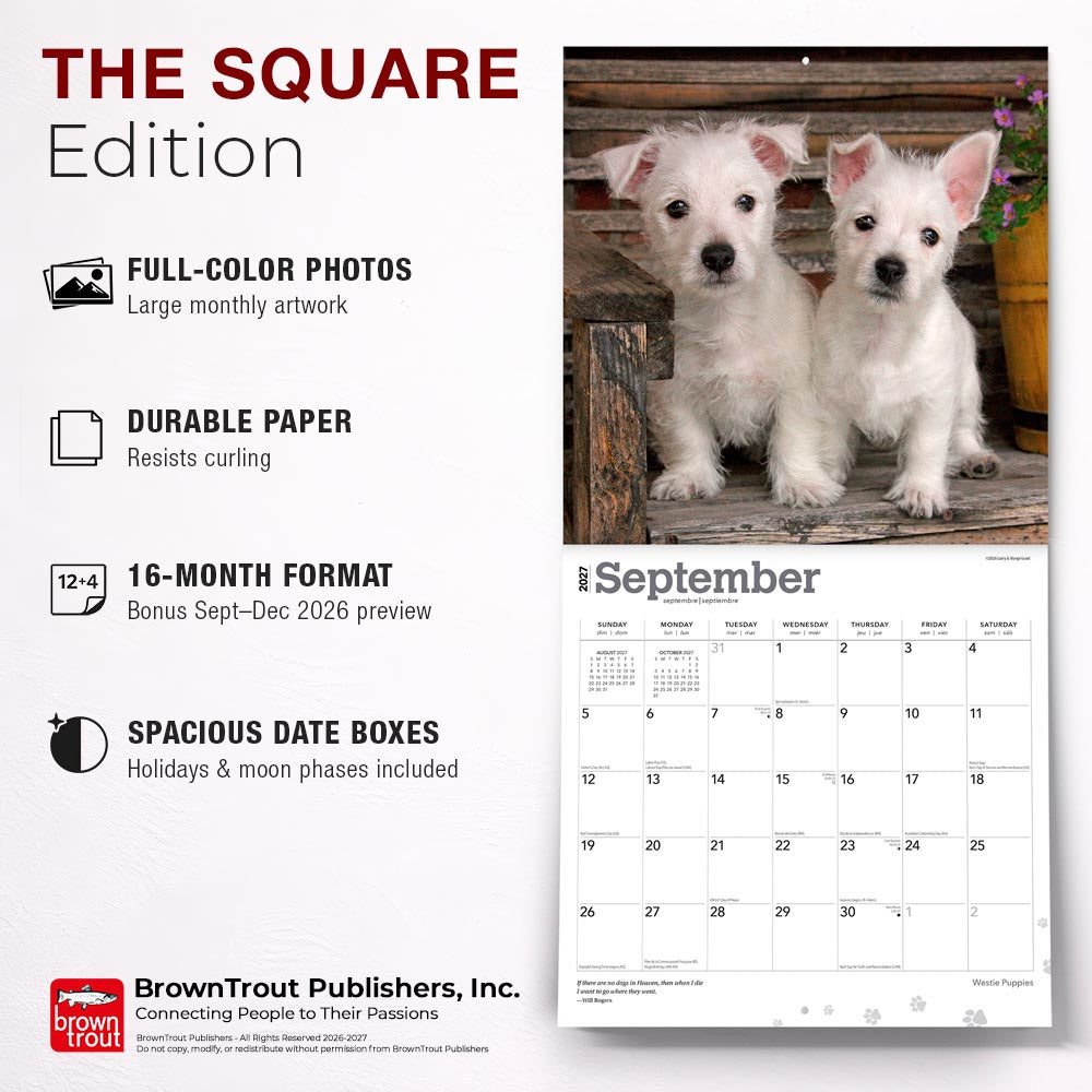West Highland White Terrier Puppies | 2027 12 x 24 Inch (Hanging) Monthly Square Wall Calendar