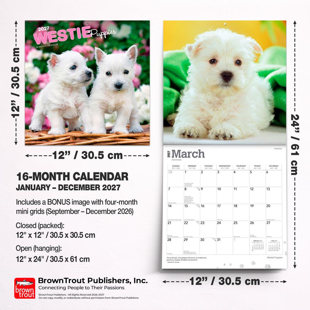 West Highland White Terrier Puppies | 2027 12 x 24 Inch (Hanging) Monthly Square Wall Calendar