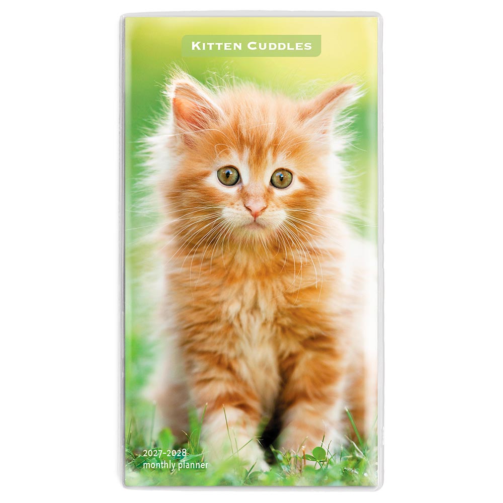 Kitten Cuddles | 2027-2028 3.5 x 6.5 Inch Two Year Monthly Pocket Planner Calendar
