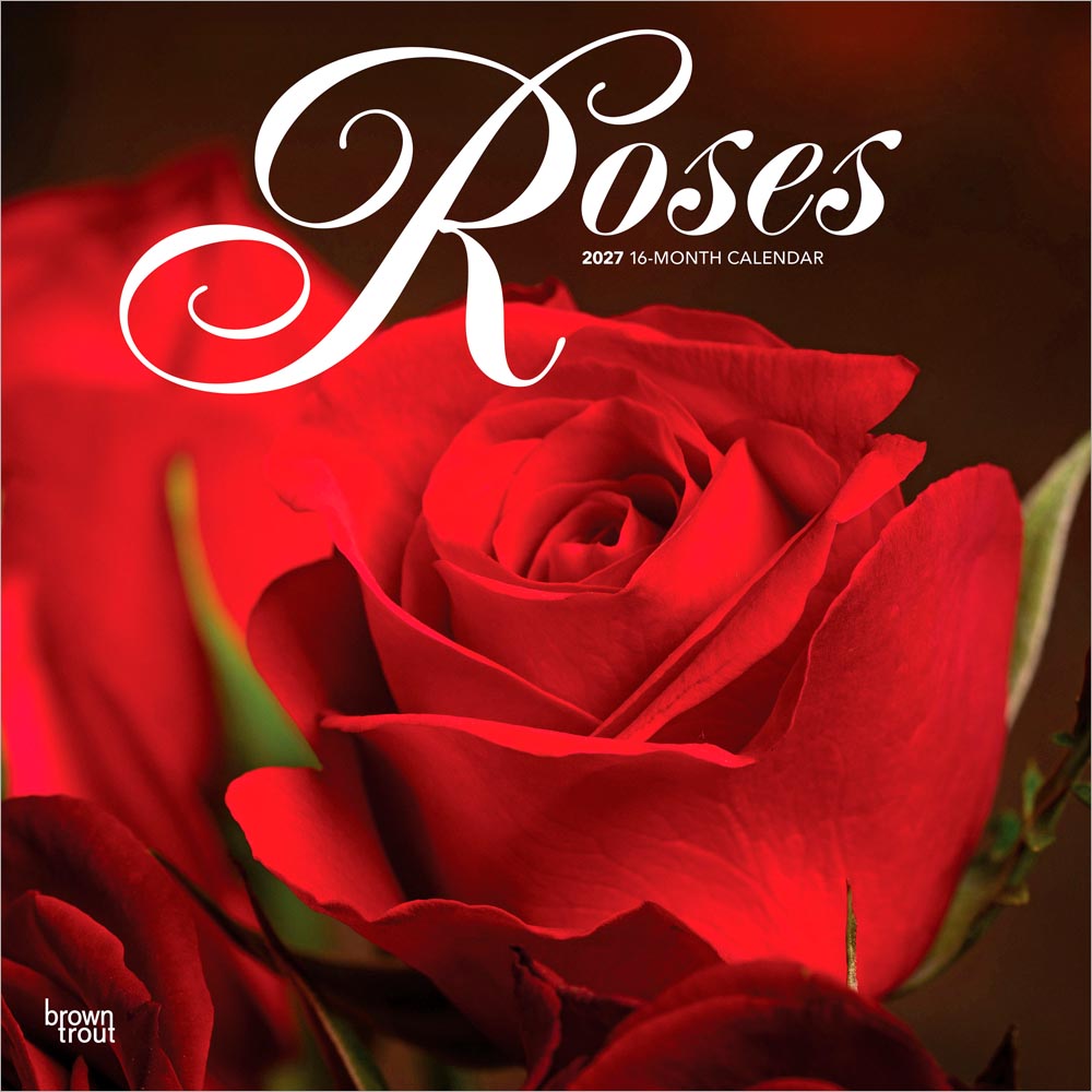 Roses | 2027 12 x 24 Inch (Hanging) Monthly Square Wall Calendar