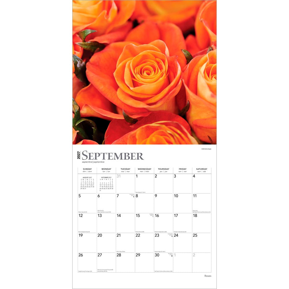 Roses | 2027 12 x 24 Inch (Hanging) Monthly Square Wall Calendar
