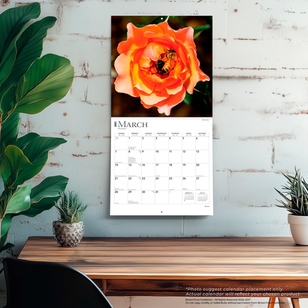 Roses | 2027 12 x 24 Inch (Hanging) Monthly Square Wall Calendar
