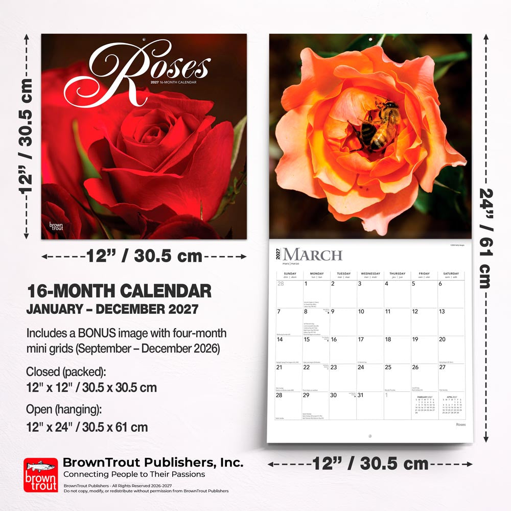 Roses | 2027 12 x 24 Inch (Hanging) Monthly Square Wall Calendar