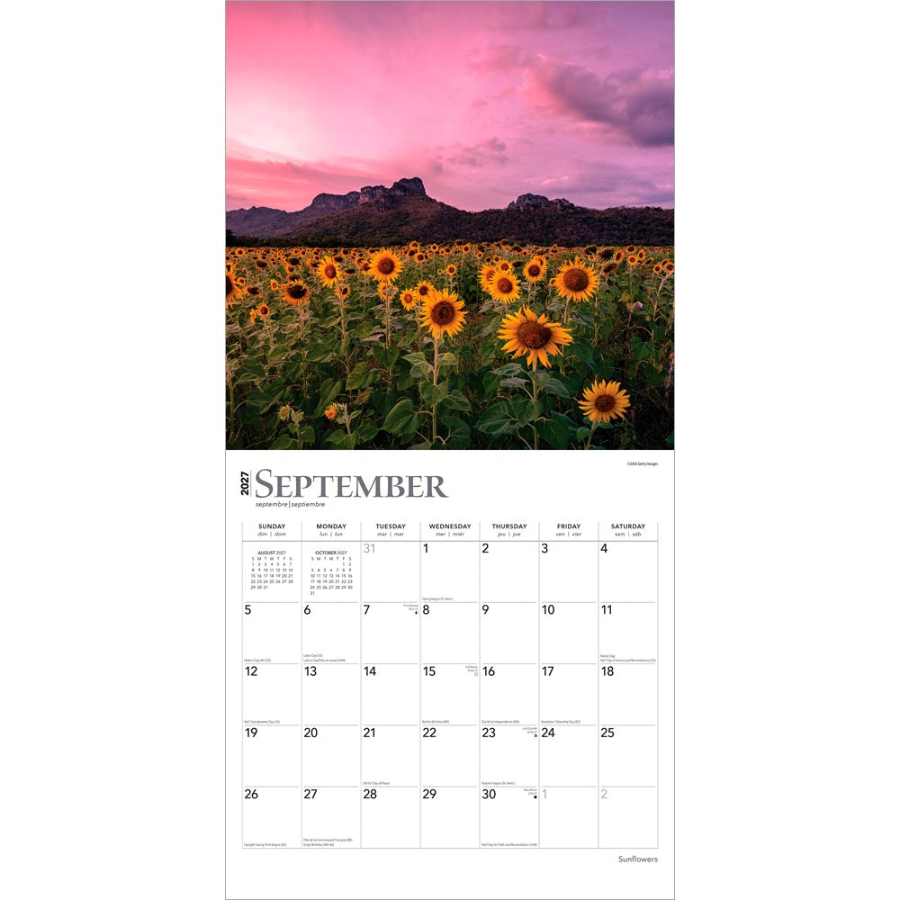 Sunflowers | 2027 12 x 24 Inch (Hanging) Monthly Square Wall Calendar