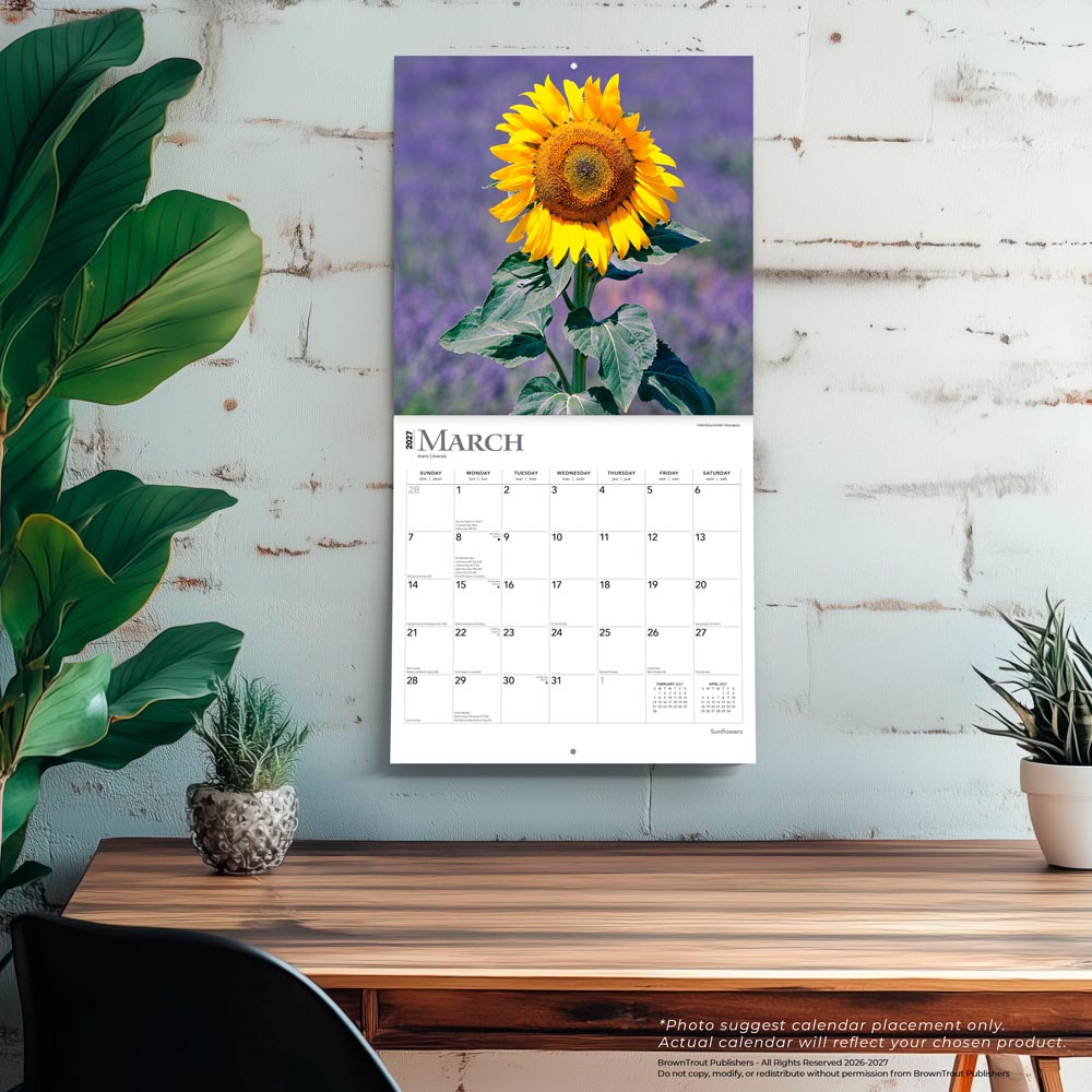Sunflowers | 2027 12 x 24 Inch (Hanging) Monthly Square Wall Calendar
