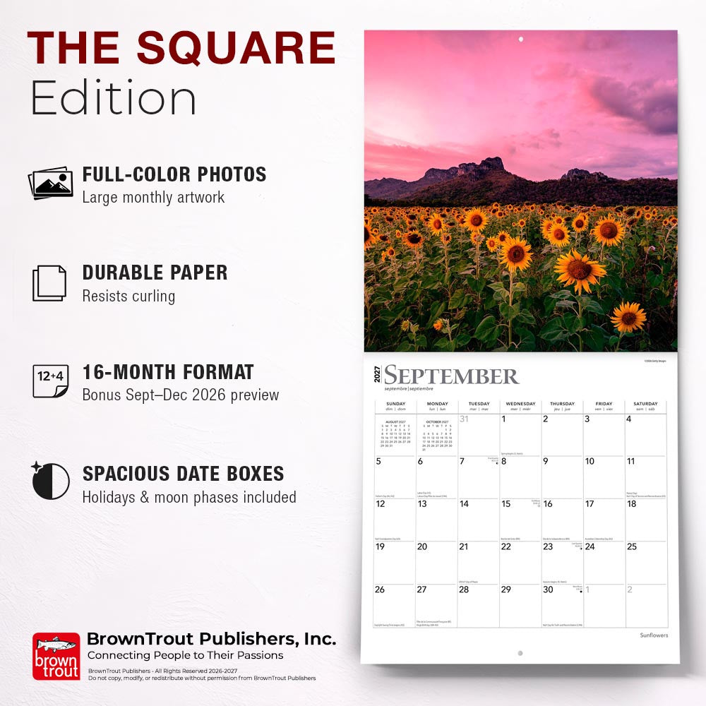 Sunflowers | 2027 12 x 24 Inch (Hanging) Monthly Square Wall Calendar