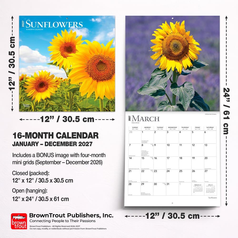 Sunflowers | 2027 12 x 24 Inch (Hanging) Monthly Square Wall Calendar