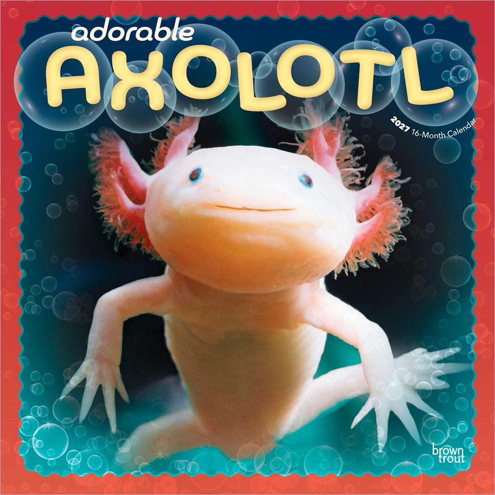 Adorable Axolotl | 2027 12 x 24 Inch (Hanging) Monthly Square Wall Calendar