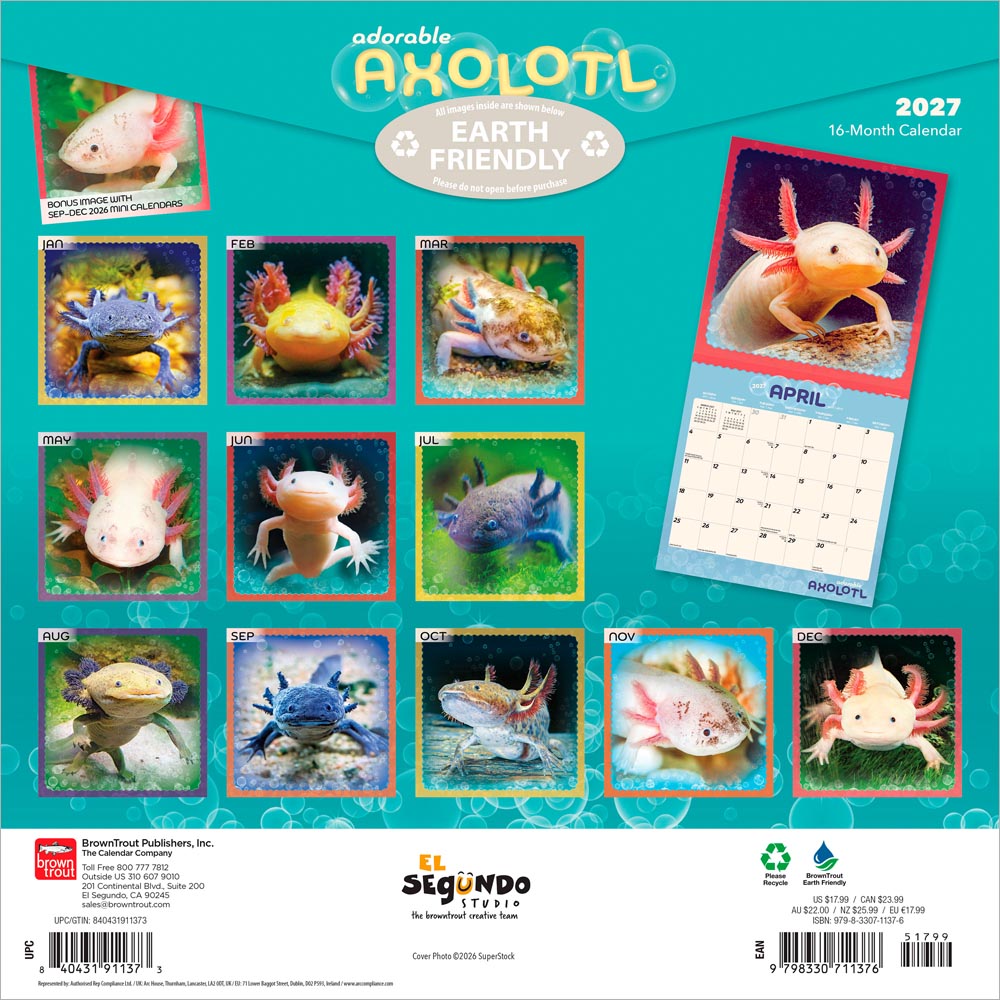 Adorable Axolotl | 2027 12 x 24 Inch (Hanging) Monthly Square Wall Calendar