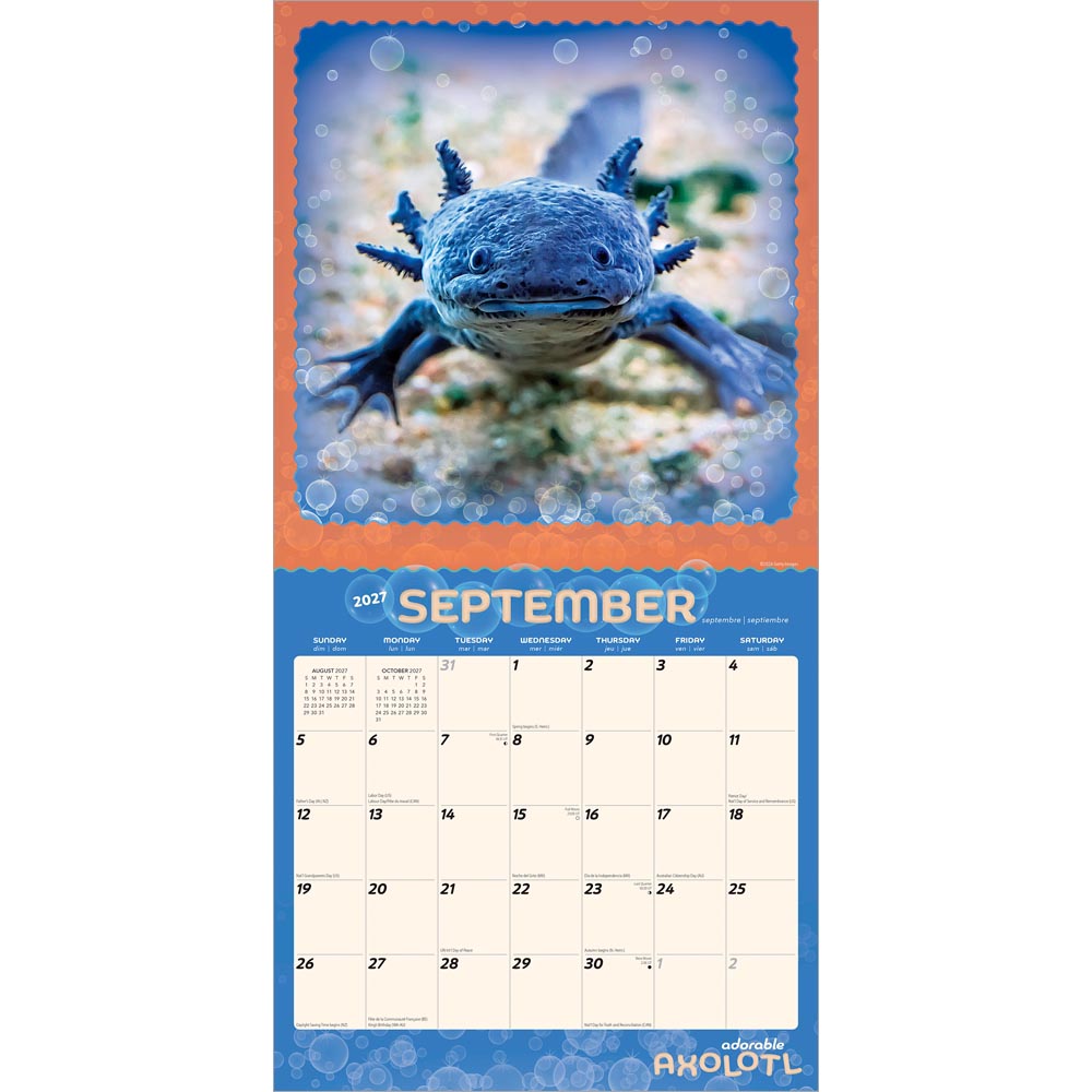 Adorable Axolotl | 2027 12 x 24 Inch (Hanging) Monthly Square Wall Calendar