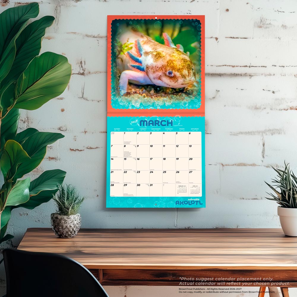 Adorable Axolotl | 2027 12 x 24 Inch (Hanging) Monthly Square Wall Calendar