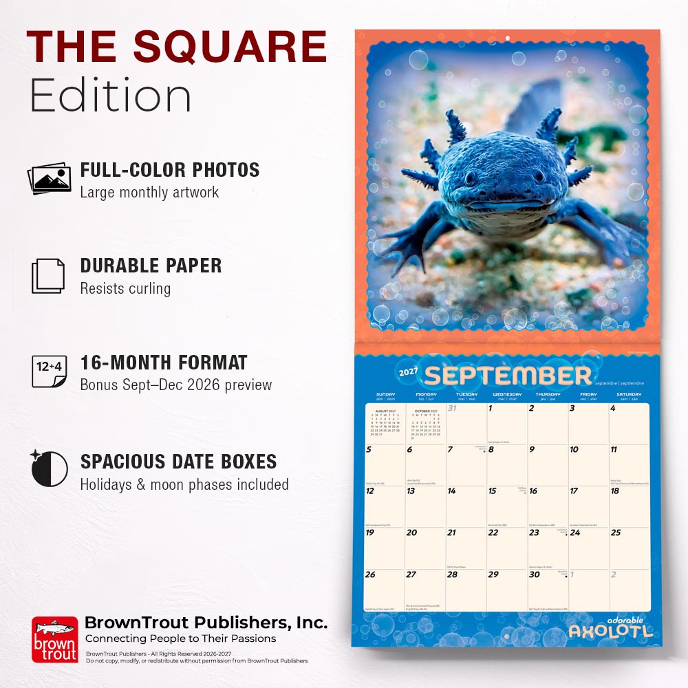 Adorable Axolotl | 2027 12 x 24 Inch (Hanging) Monthly Square Wall Calendar