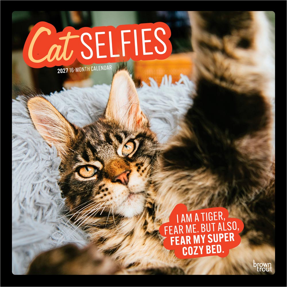 Cat Selfies | 2027 12 x 24 Inch (Hanging) Monthly Square Wall Calendar