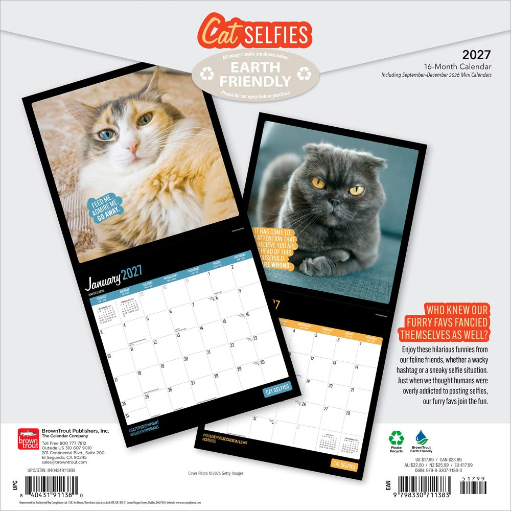 Cat Selfies | 2027 12 x 24 Inch (Hanging) Monthly Square Wall Calendar