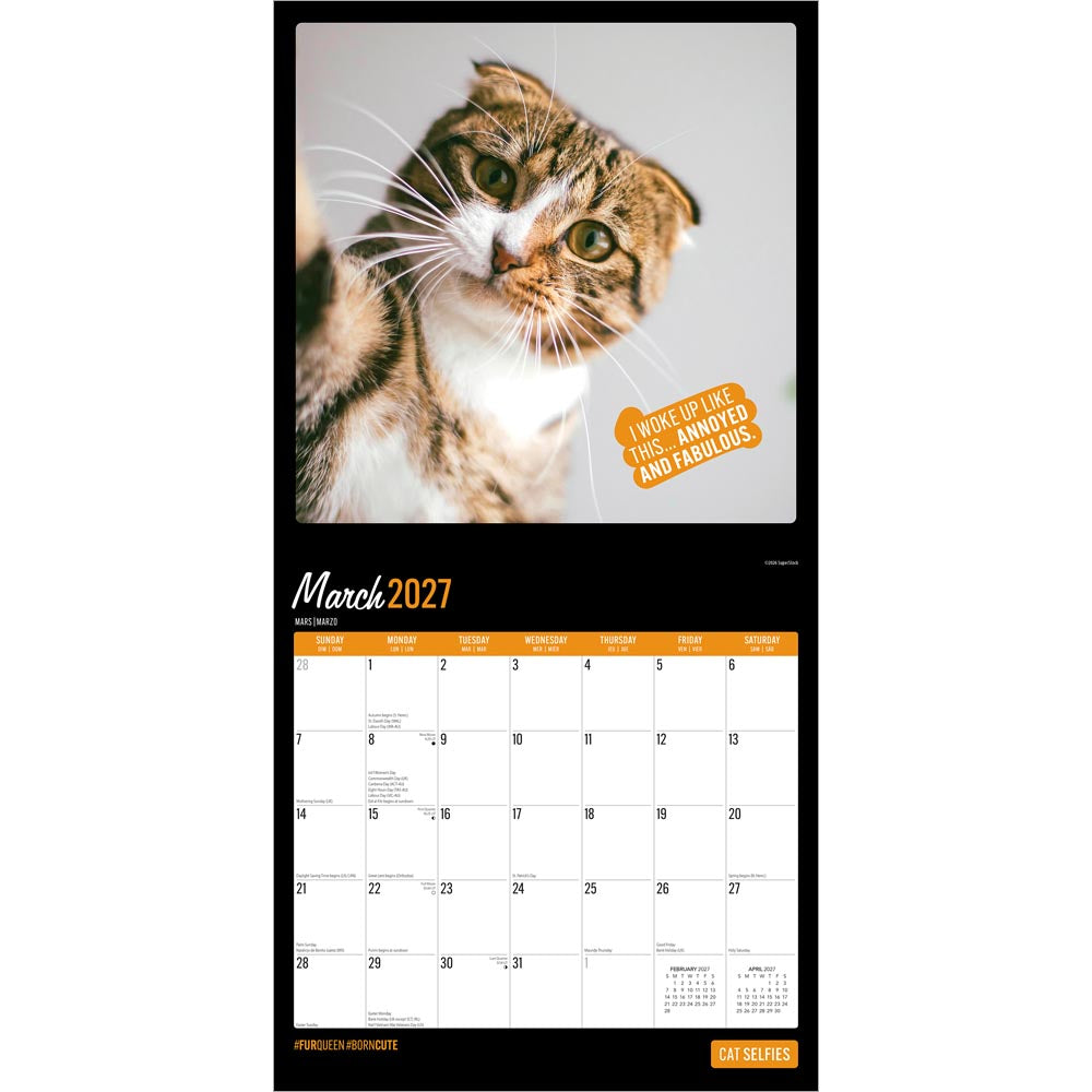 Cat Selfies | 2027 12 x 24 Inch (Hanging) Monthly Square Wall Calendar