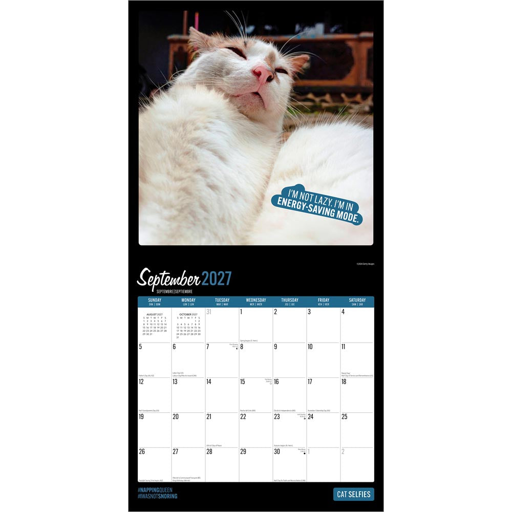 Cat Selfies | 2027 12 x 24 Inch (Hanging) Monthly Square Wall Calendar