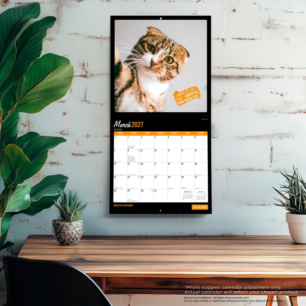 Cat Selfies | 2027 12 x 24 Inch (Hanging) Monthly Square Wall Calendar