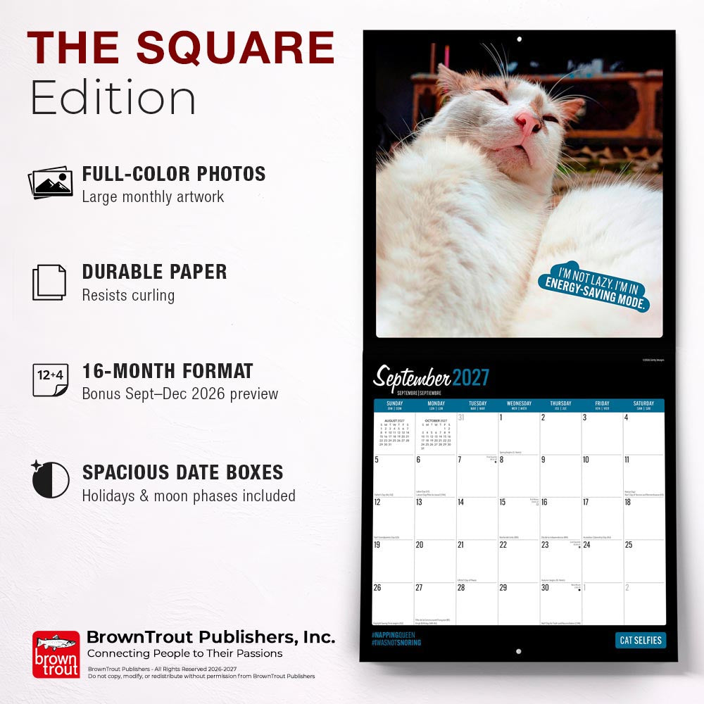 Cat Selfies | 2027 12 x 24 Inch (Hanging) Monthly Square Wall Calendar