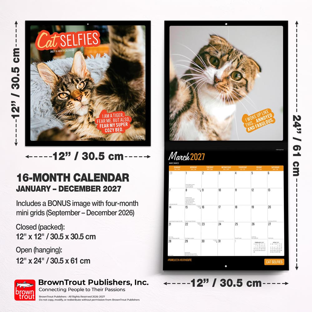 Cat Selfies | 2027 12 x 24 Inch (Hanging) Monthly Square Wall Calendar