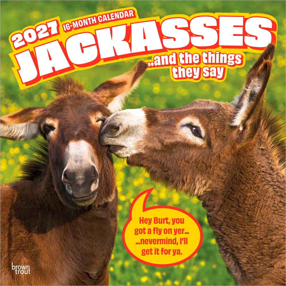 Jackasses | 2027 12 x 24 Inch (Hanging) Monthly Square Wall Calendar