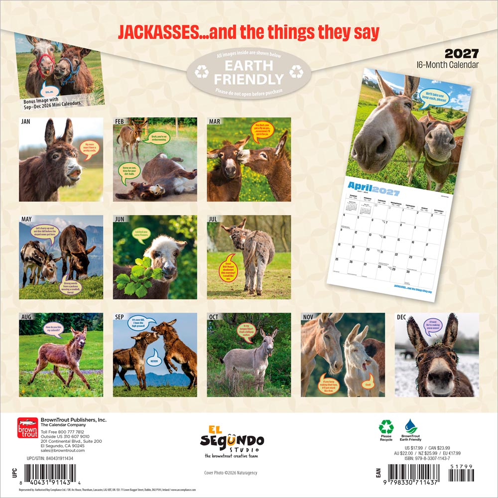 Jackasses | 2027 12 x 24 Inch (Hanging) Monthly Square Wall Calendar