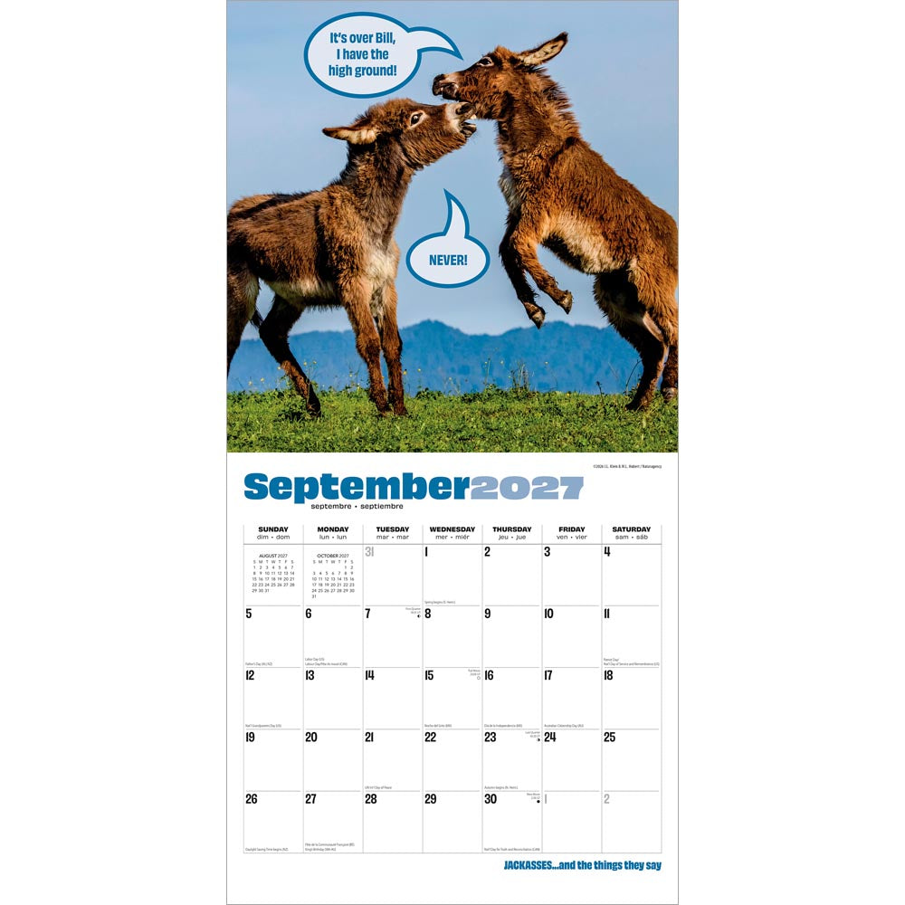 Jackasses | 2027 12 x 24 Inch (Hanging) Monthly Square Wall Calendar
