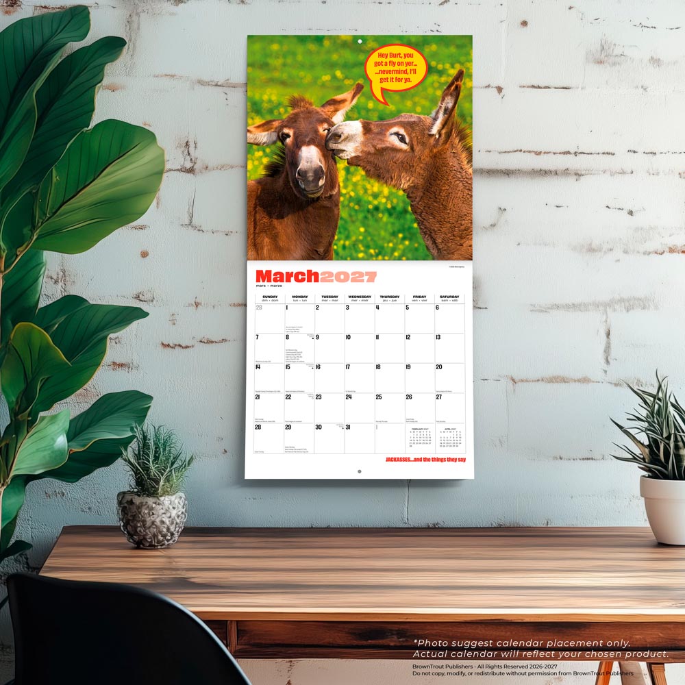 Jackasses | 2027 12 x 24 Inch (Hanging) Monthly Square Wall Calendar