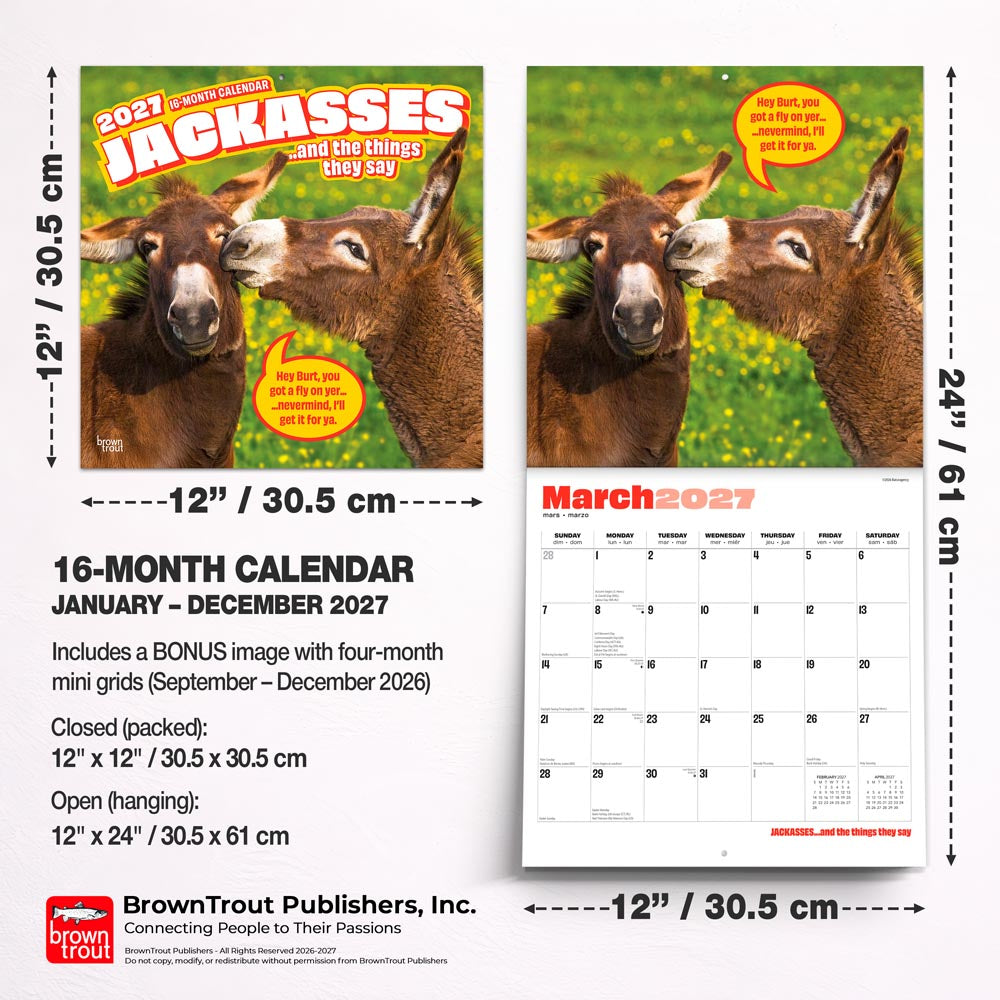 Jackasses | 2027 12 x 24 Inch (Hanging) Monthly Square Wall Calendar